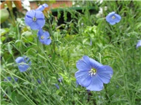 df2af4a6-Picture 074.jpg